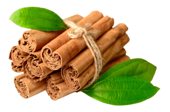 Ceylon cinnamon