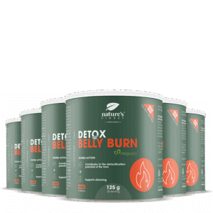 Detox Belly Burn 6x bundle