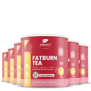 FatBurn Tea 6x bundle