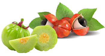 Guarana and Garcinia Cambogia
