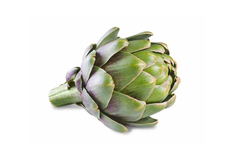Artichoke Extract