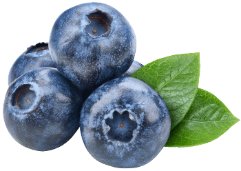 Blueberry powder