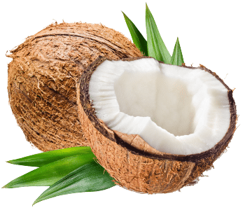 Coconut powder