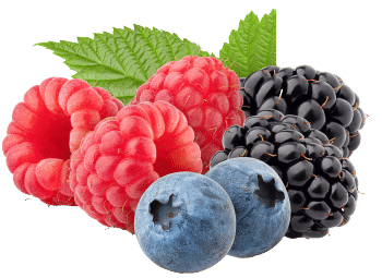 Forest fruit flavour