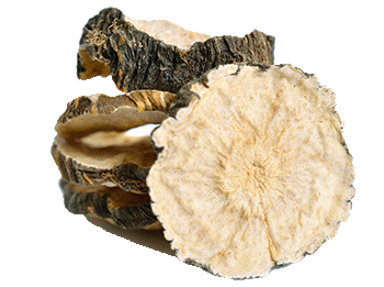 Black maca extract
