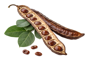 Carob extract