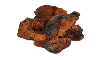 Chaga mushroom powder