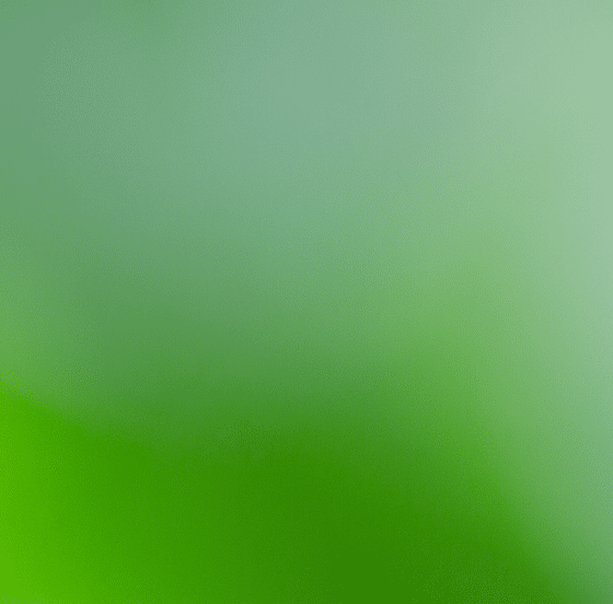offer-hp-2-2.png